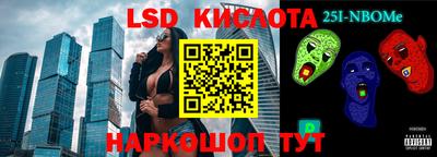 гидра Кандалакша