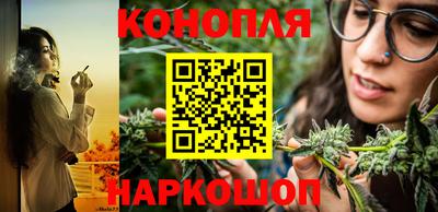 гидра Кандалакша