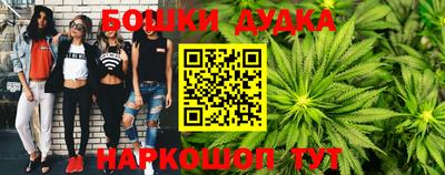 гидра Кандалакша